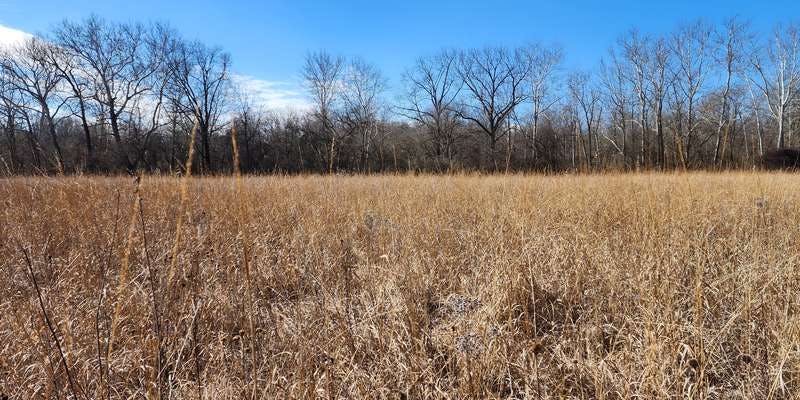 The featured photo for Mill Race Preserve Prairie