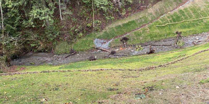 The featured photo for Maddox Creek North