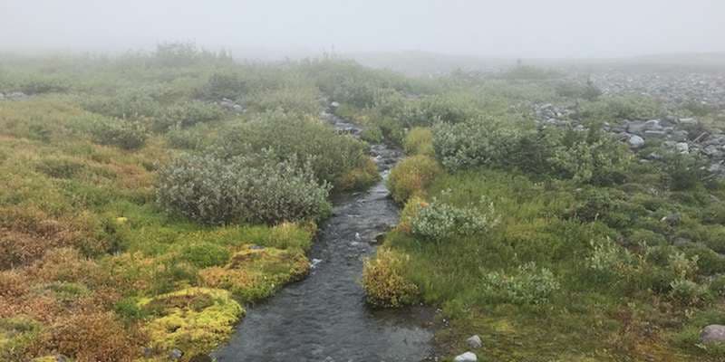 The featured photo for Second North View