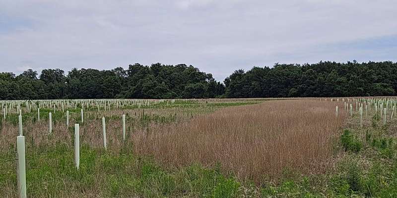 The featured photo for Wye Island