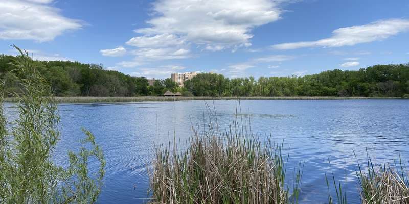 The featured photo for Wood Lake Boardwalk