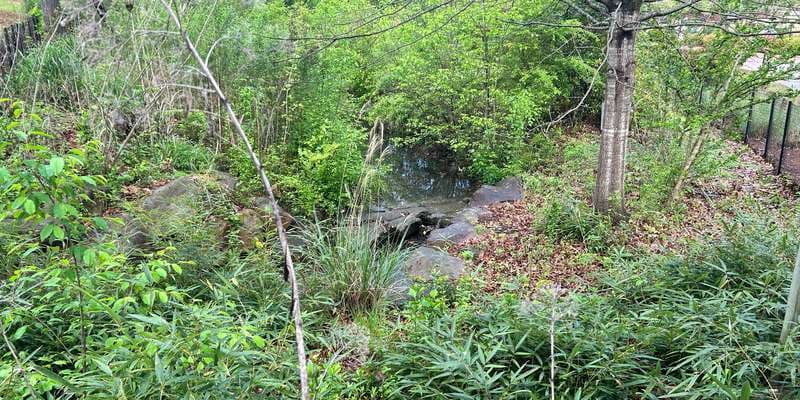 The featured photo for BZI-1