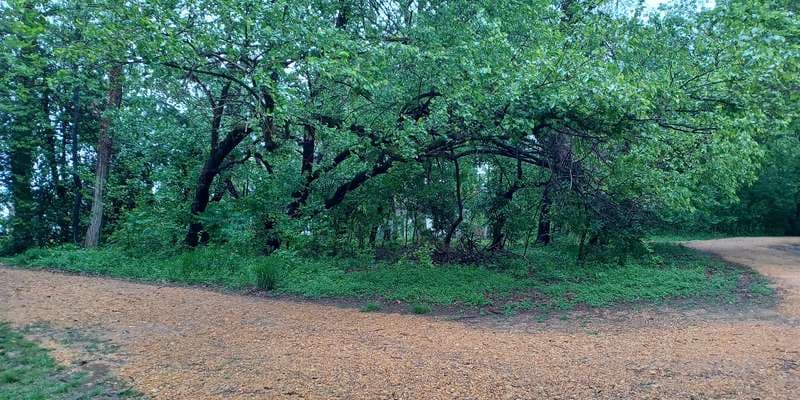 The featured photo for Visitor Center