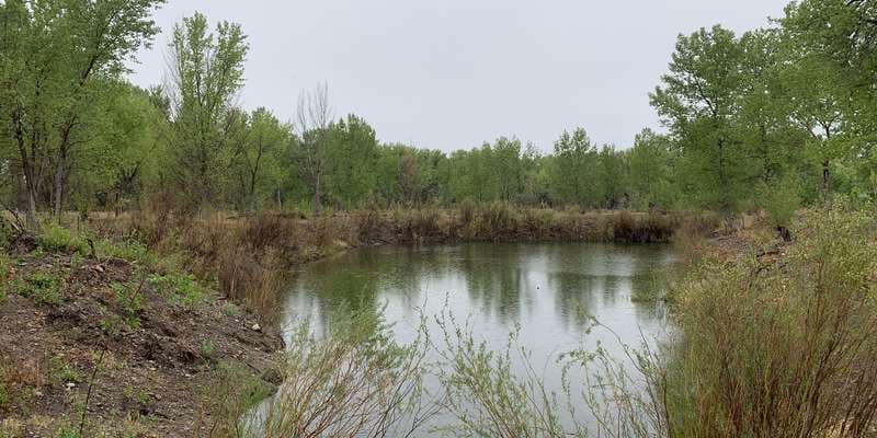 The featured photo for The Pond