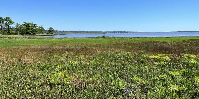 The featured photo for Weeks Bay Reserve Visitor Center Pavilion overlook