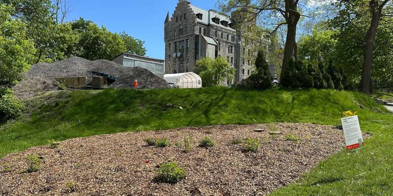 The featured photo for Upper Residences Flower Meadow