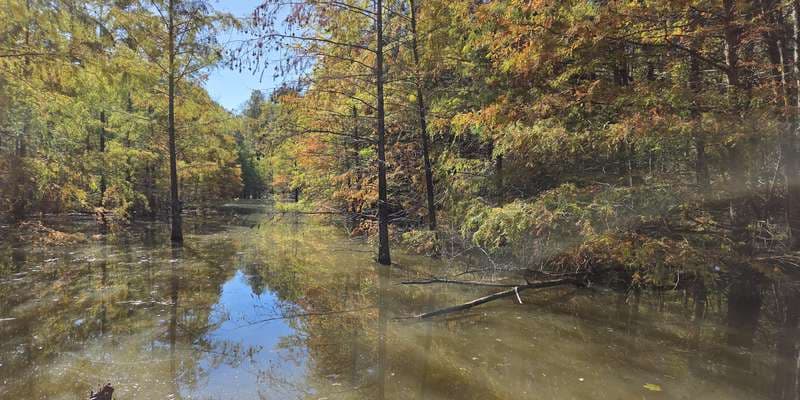The featured photo for Lake Nevin Outdoor Classroom