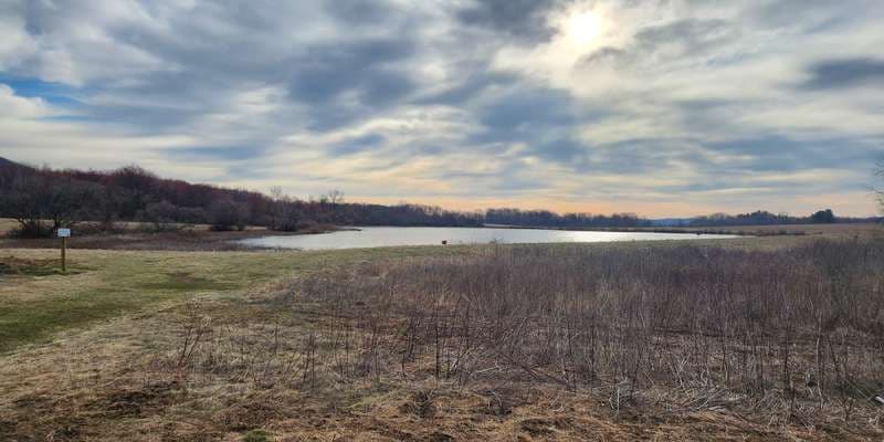 The featured photo for Middle Creek Wildlife Viewing Platform