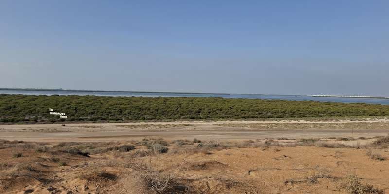 The featured photo for Mangrove Beach Reserve