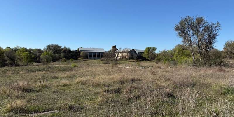 The featured photo for Savannah Meadow at the Wildflower Center