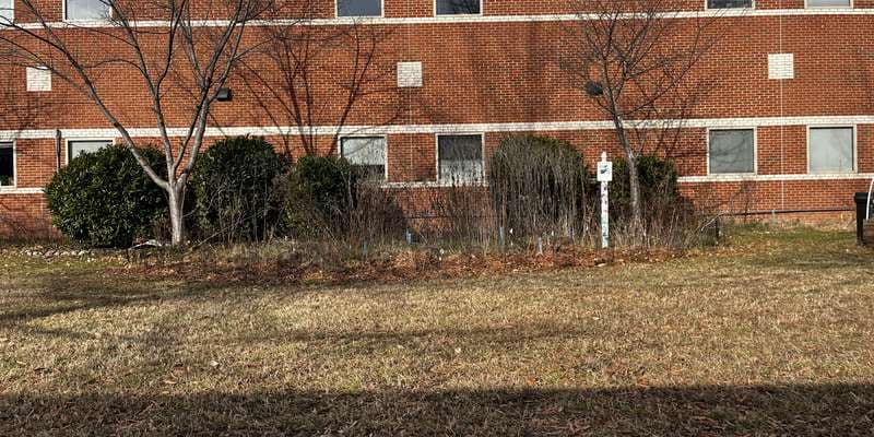 The featured photo for Upper School Student Organic Garden