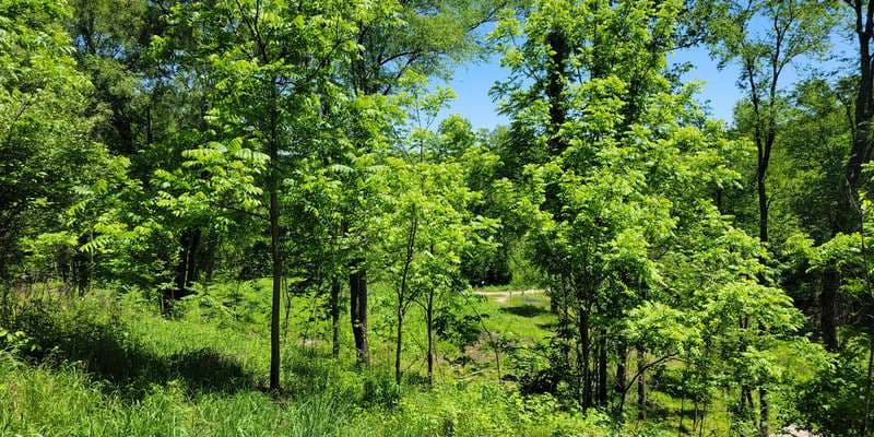 The featured photo for Kalamazoo Nature Center