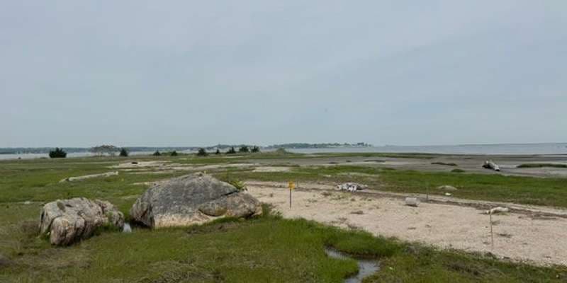 The featured photo for Hammonasset State Park Wetland Restoration