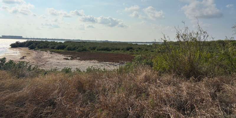 The featured photo for Oso Bay Tidal Flats