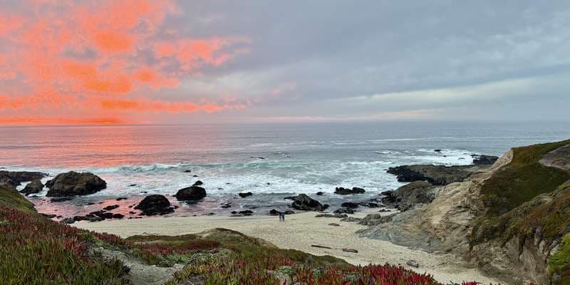 The featured photo for Bodega Head Marine Protected Area (MPA)