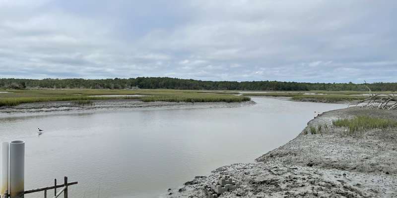 The featured photo for William B. Cummings Birding And Wildlife Trail - Brownsville Preserve, Nassawadox, VA