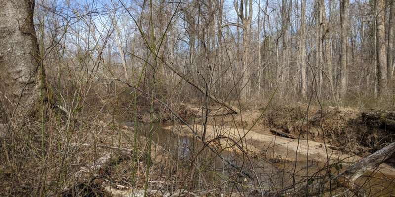 The featured photo for Biscuit Run Trail