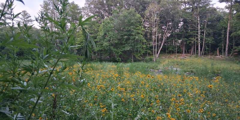 The featured photo for Dana Dam Removal Site