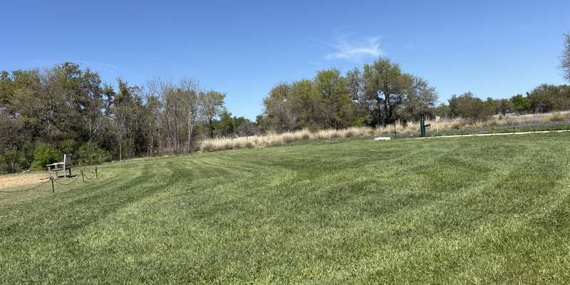 The featured photo for Family Garden Play Meadow Project