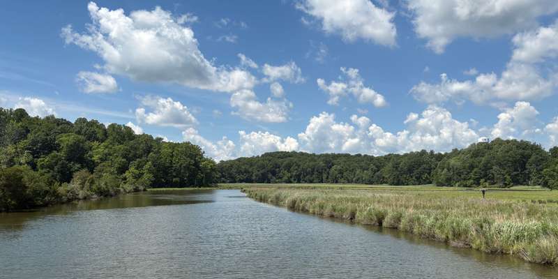The featured photo for Fishing Creek Railway Trail