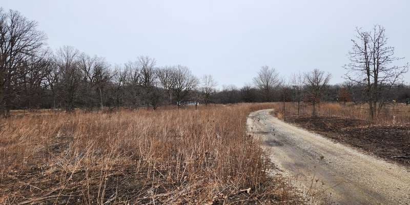 The featured photo for Pollinator Prairie- West