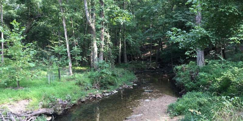 The featured photo for Croydon Creek