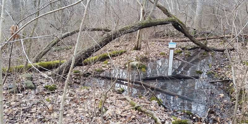 The featured photo for Pinchot - Old Toboggan Run Pool