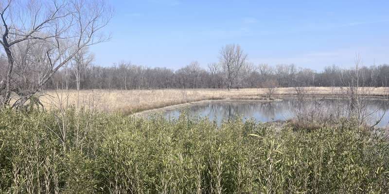 The featured photo for Meadowlark Prairie at Oxley