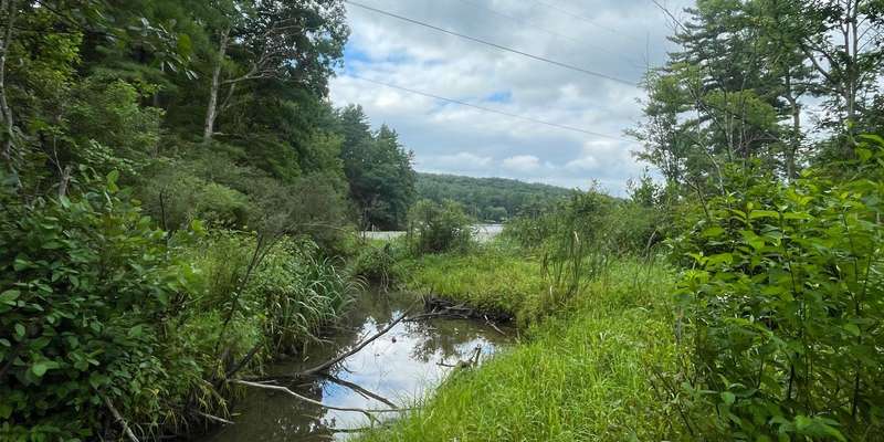 The featured photo for Shaver's Creek Environmental Ctr Hawks View Meadow