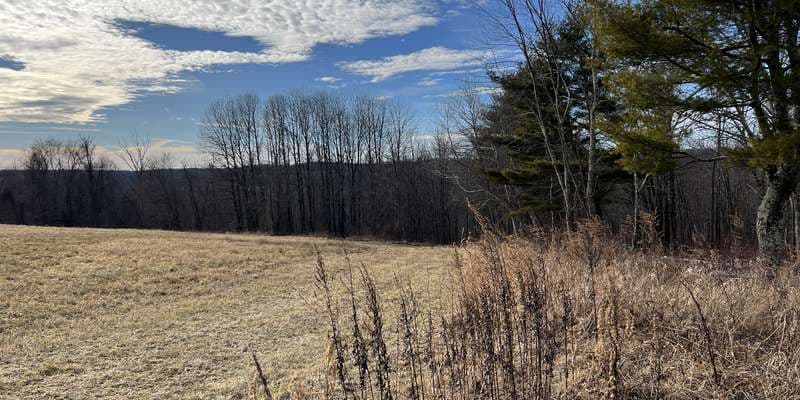 The featured photo for Sunset Hill Birdhouse