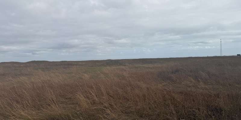 The featured photo for Grasslands Nature Trail