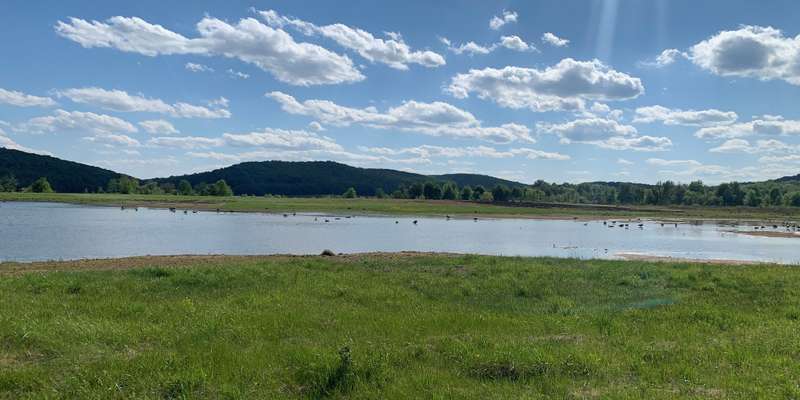 The featured photo for Duck Trap South Impoundment Project