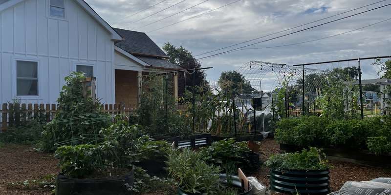 The featured photo for Community Garden