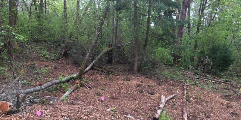 The featured photo for Titlow Park