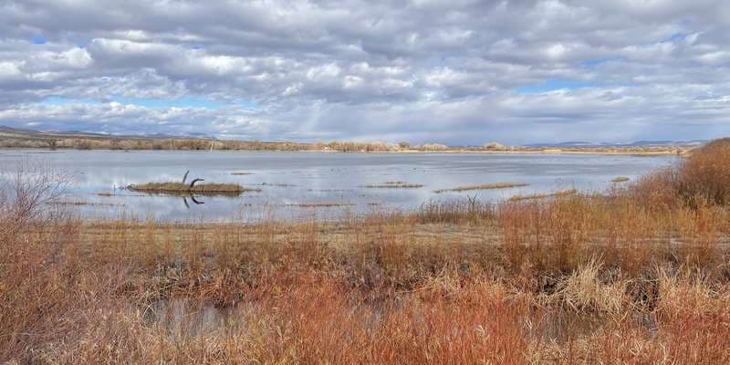 The featured photo for Eagle Scout Deck
