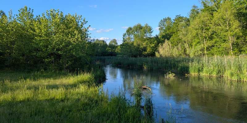 The featured photo for Beaver Creek Wetlands Reserve