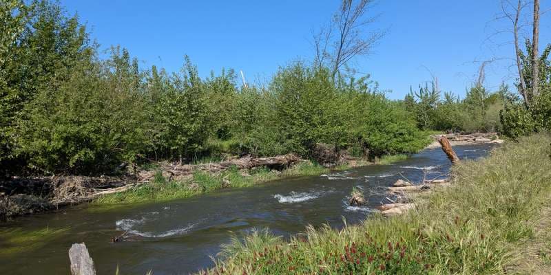 The featured photo for Bear Creek 1