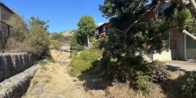 The featured photo for Green Ravine Test Plot, Catalina Island