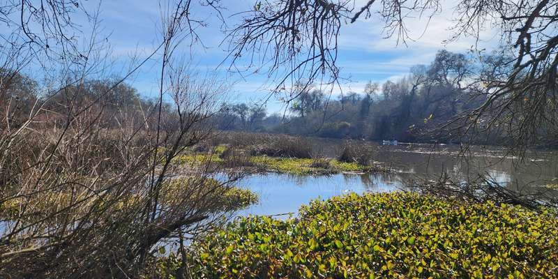 The featured photo for Middle Slough View