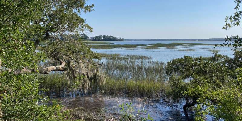 The featured photo for Altamaha Town Heritage Preserve