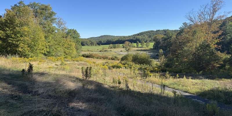 The featured photo for Edge Hill Wetlands