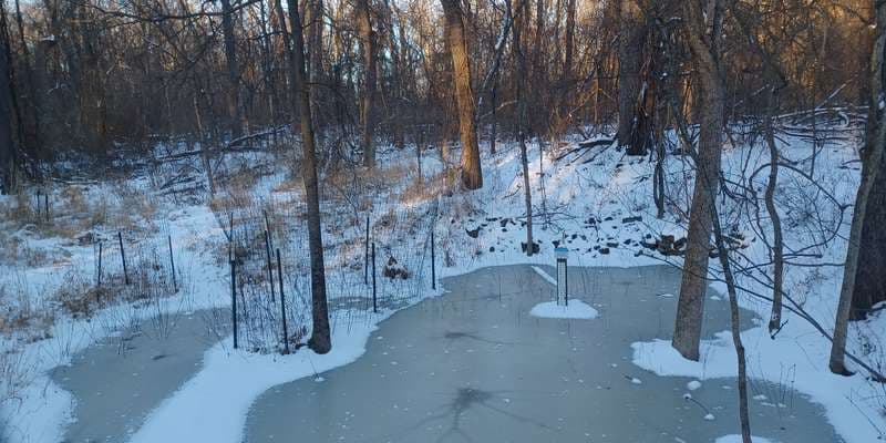 The featured photo for Pinchot - Barn Pool