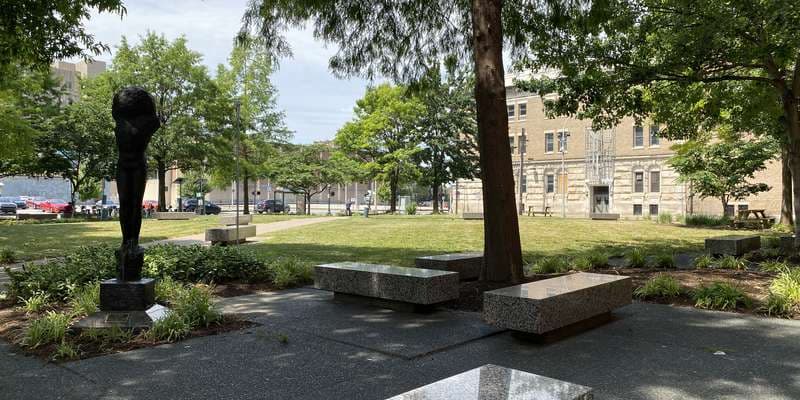 The featured photo for Trager MicroForest Project View 2