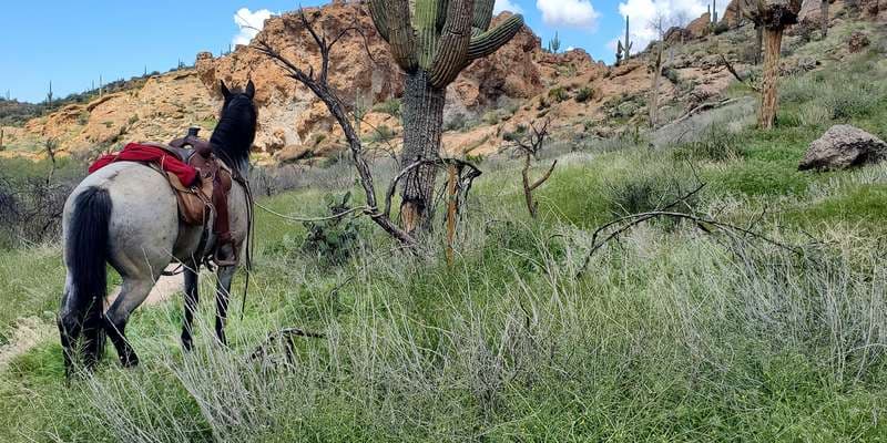 The featured photo for Arnett Creek Uplands 1