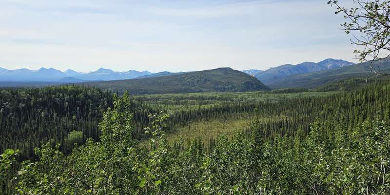 The featured photo for Meadow View Trail