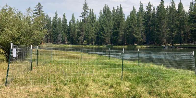 The featured photo for La Pine State Park BeaverHOOD Planting