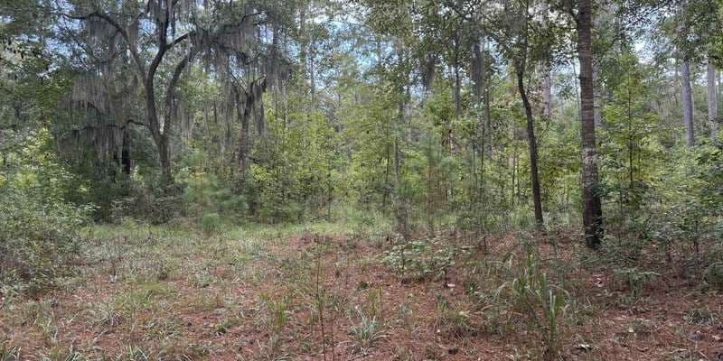 The featured photo for Headwaters Nature Trail