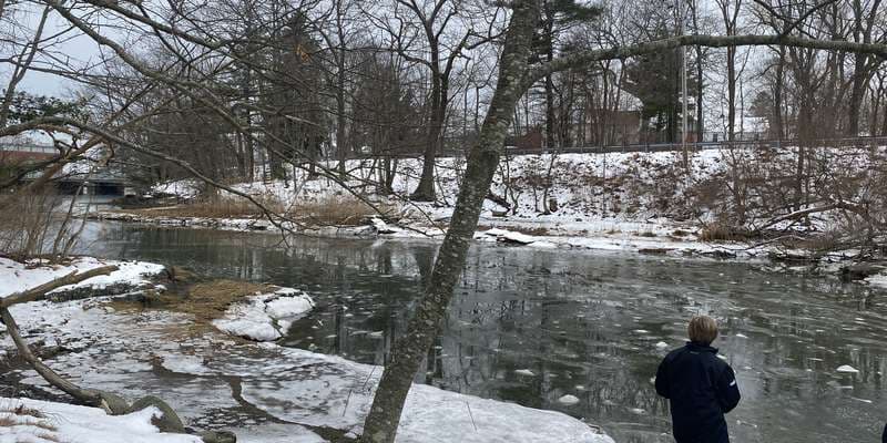 The featured photo for Mudflat View