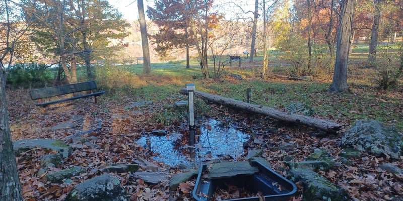 The featured photo for Pinchot - Nature Center Pool