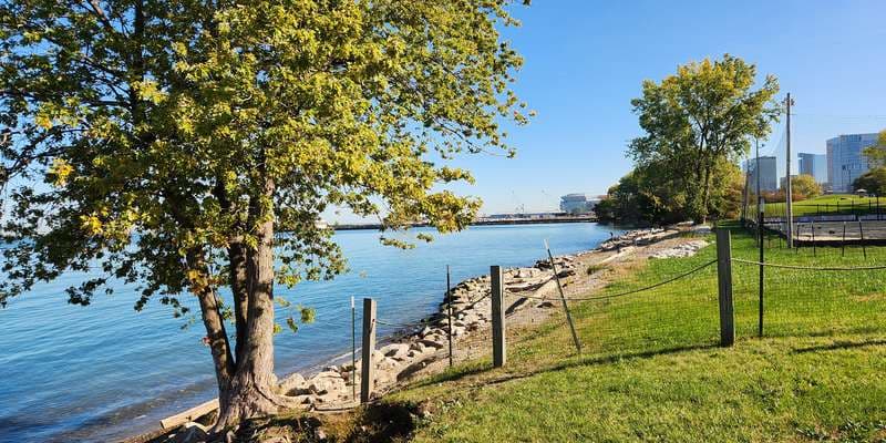 The featured photo for Nature-based shoreline stabilization @ Wendy Park
